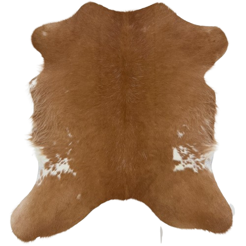 Brown and White Calfskin: brown with a few white speckles and small white spots, and longer hair on the belly - 3'2" x 2'8"  (CALF915)
