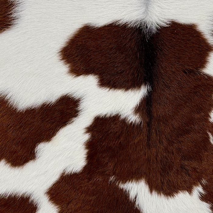 Closeup of this Calfskin, showing white with large and small, brown spots  (CALF916)