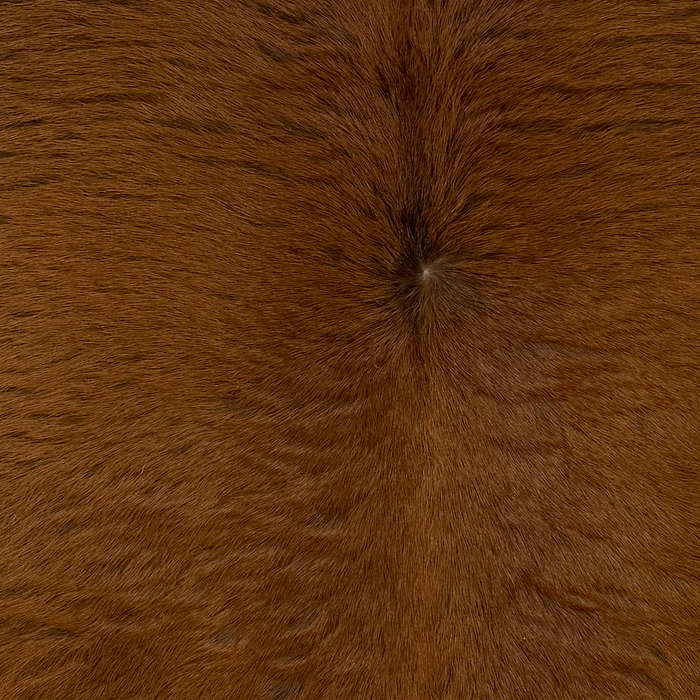 closeup of this Calfskin, showing mostly solid reddish brown (CALF917)