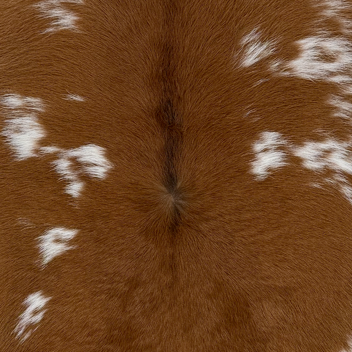 Closeup of this Calfskin, showing brown with small, white spots (CALF918)