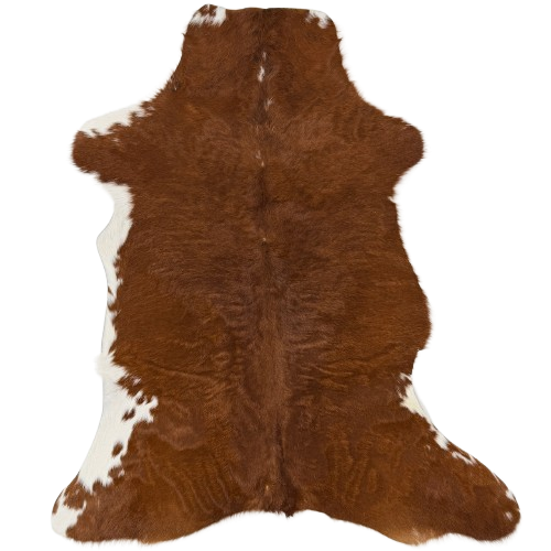 Reddish Brown and White Calfskin: mostly solid reddish brown with a few small white speckles down the middle of the shoulder, and small white spots on the belly and shanks - 3'2" x 2'1"  (CALF919)