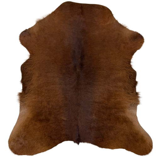 Solid Brown Calfskin: solid brown with long hair on the belly - 3'4" x 2'9"  (CALF920)