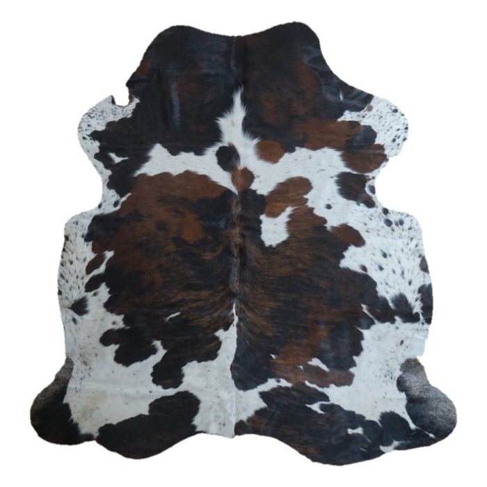 Tricolor cowhide rug, 6'1" x 5'11", shown on white background (CH-034)