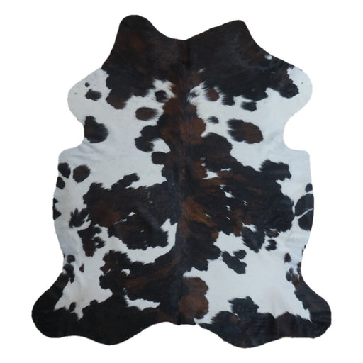 Tricolor cowhide rug, 7'1" x 6'4", shown on white background (CH-079)