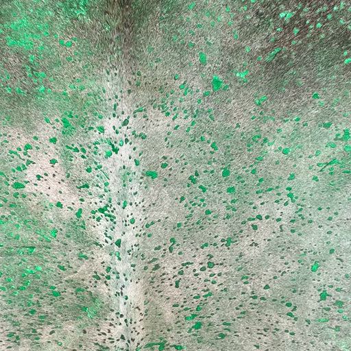 Closeup of this Large, Light Gray, Colombian Cowhide, showing a green , metallic acid wash (COAW435)