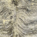 Closeup of this Colombian Brindle Cowhide, showing white with black, brindle markings, and a gold, metallic acid wash (COAW453)