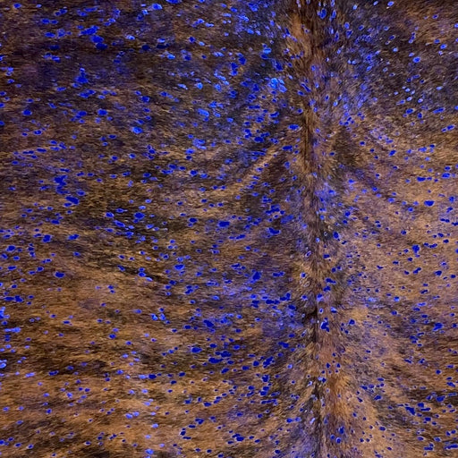 Closeup of this Colombian Brindle Cowhide, showing brown and black, with a royal blue, metallic acid wash (COAW465)