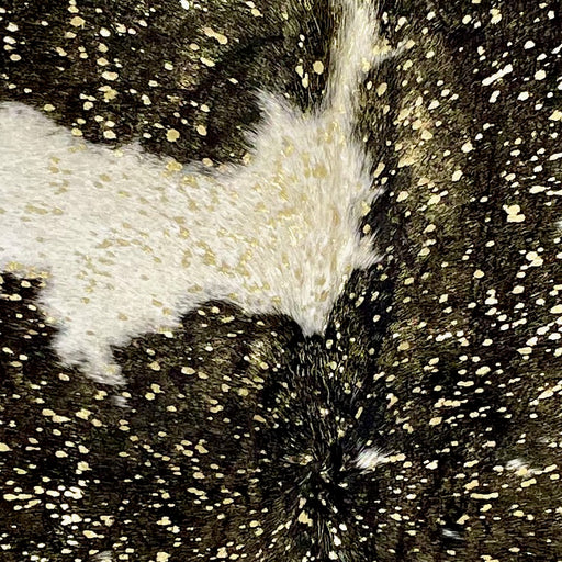 Closeup of this Large Colombian Cowhide, showing white with large and small, black spots, and a gold, metallic acid wash COAW475)