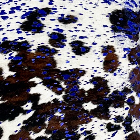 Closeup of this Tricolor Colombian Cowhide, showing white with spots that have a mix of brown and black, and a royal blue, metallic acid wash (COAW485)