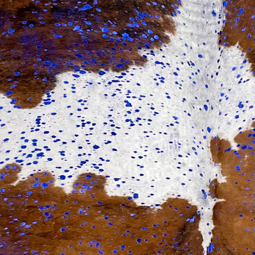 Closeup of this Colombian Tricolor Cowhide, showing white, brown, and black, and a metallic, royal blue acid wash (COAW495)
