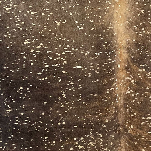 Closeup of this Colombian Brindle Cowhide, showing brown and black,  and a metallic, Gold Acid Wash (COAW498)