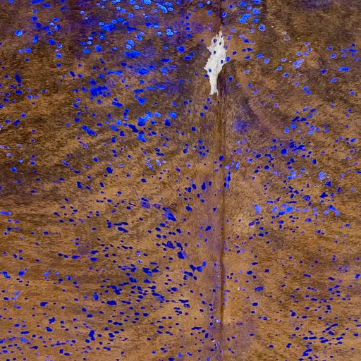 Closeup of this large, Colombian, Brindle Cowhide, showing brown and black,  with a metallic, Royal Blue Acid Wash (COAW500)