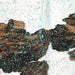 Large Tricolor Colombian Cowhide, showing white with large spots that have a brown and black, brindle pattern, and a metallic, turquoise acid wash (COAW519)