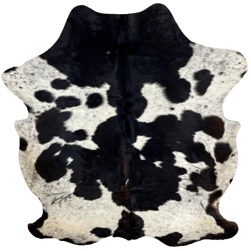 Black and White Speckled Colombian Cowhide:  white with black speckles, large and small, black spots, and a touch of dark brown on the spine, and off-white with black speckles on the belly and hind shanks - 6'6" x 5' (COBKW235)
