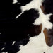 Closeup of this Black and White, Colombian Cowhide, showing white with large and small, black spots, and brown on part of the spine (COBKW237)