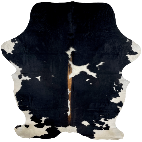 Large Black and White Colombian Cowhide:  black with white spots, off-white on the hind shanks, and it has brown down part of the spine - 7'7" x 5'8" (COBKW245)