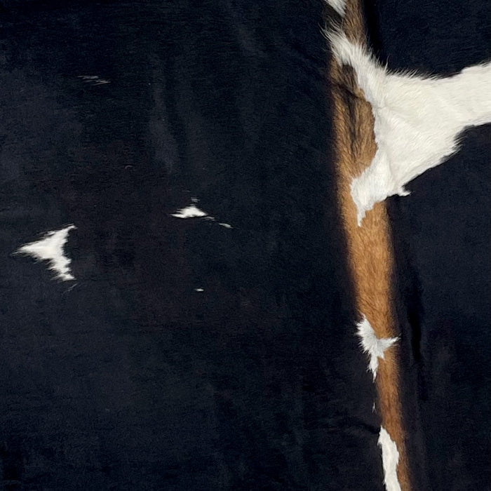 Closeup of this Large, Black and White, Colombian Cowhide, showing black with white spots, and brown down part of the spine (COBKW245)