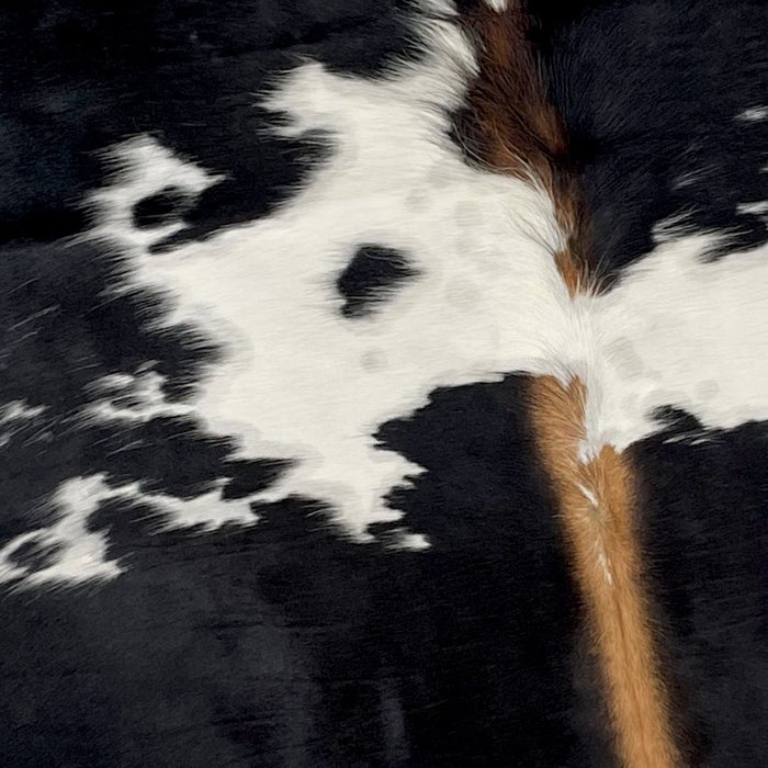 Closeup of this Black and White Colombian Cowhide, showing black with white spots, and brown down the spine (COBKW246)