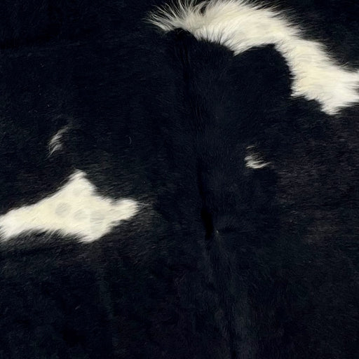 Closeup of this Black and White, Colombian Cowhide, showing black, with a few white spots on the back (COBKW250)