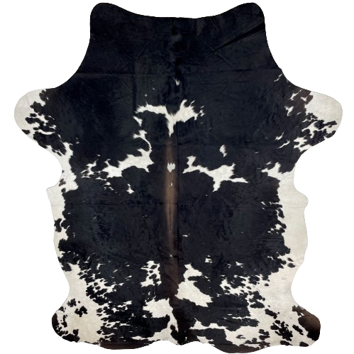 XL Black and White Colombian Cowhide:  white with large and small, black spots, and it has brown down part of the spine - 8'4" x 5'7" (COBKW251)