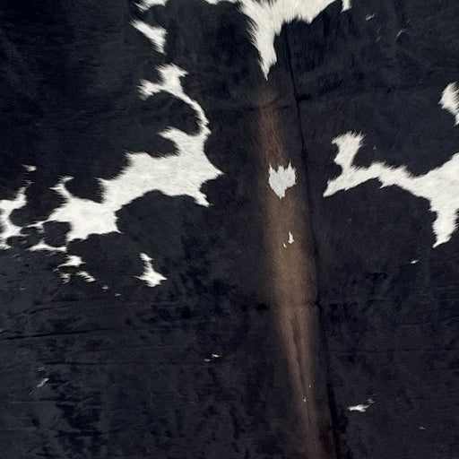 Closeup of this XL, Black and White, Colombian Cowhide, showing white with large and small, black spots, and brown down part of the spine (COBKW251)