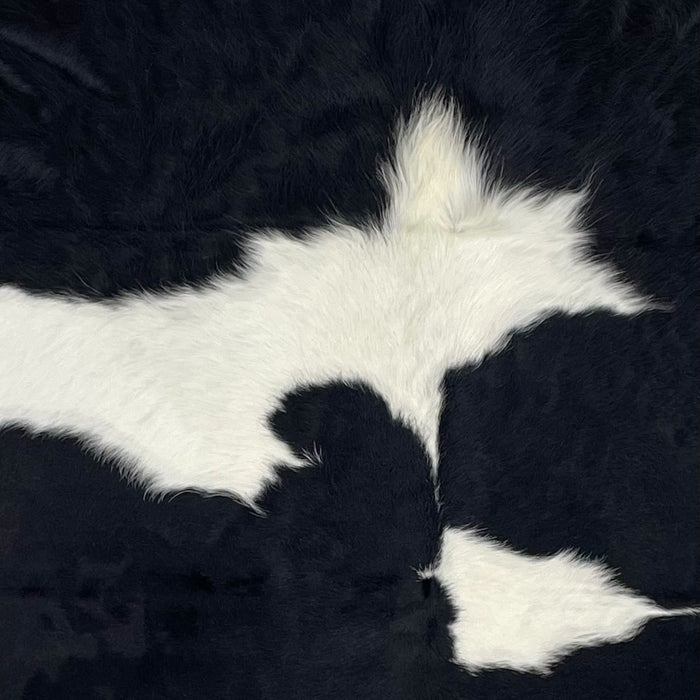 Closeup of this Large Colombian Cowhide, showing white and off-white with large and small, black spots, and long hair down part of the spine (COBKW274)