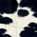 Closeup of this Colombian Cowhide, showing white with large and small, black spots (COBKW276)