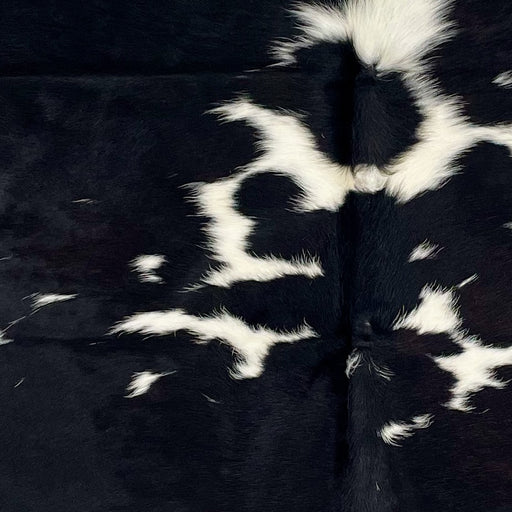 Closeup of this Colombian Cowhide, showing white with large and small, black spots (COBKW277)