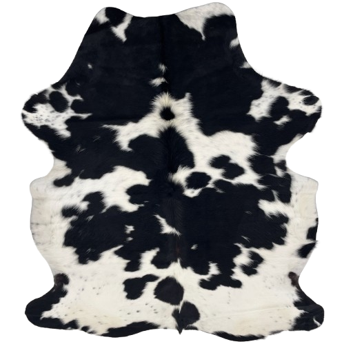 Black and White Colombian Cowhide: has long hair that is white with large and small, black spots - 6'6" x 5'1" (COBKW280)