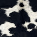 Closeup of this Colombian Cowhide, showing long hair that is white with large and small, black spots (COBKW280)
