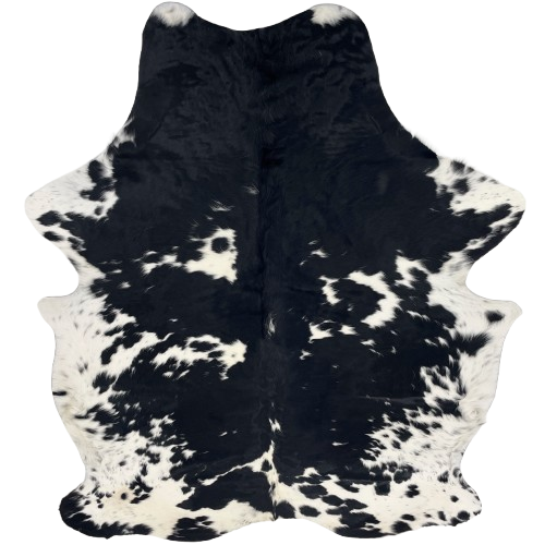 Colombian Black and White Cowhide: white with large and small, black spots, and longer hair down part of the spine and on the belly - 7'5" x 5'5" (COBKW282)