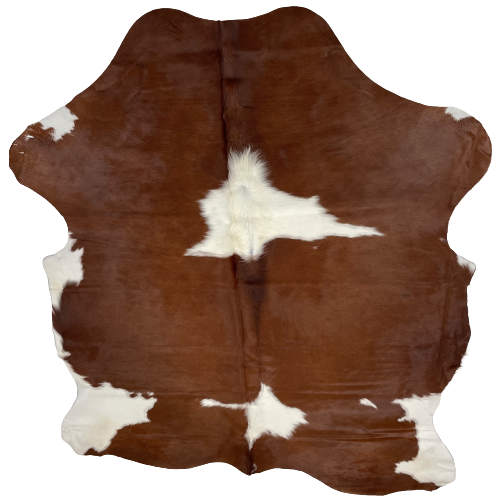 Brown and White Colombian Cowhide:  brown, with two large, white spots in the middle, white on the hind shanks, and a small white spot on the fore shanks- 7'2" x 5'5" (COBNW322)