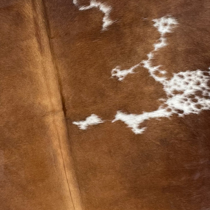 Closeup of this Brown and White, Colombian Cowhide, showing brown with white spots that have brown speckles (COBNW327)