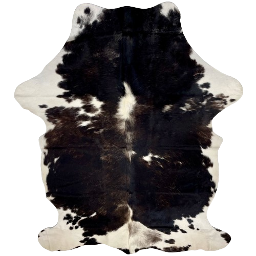 Blackish Brown and White Colombian Cowhide:  blackish brown, with fine, lighter brown speckles, and a few white spots, and it has white on the belly and shanks - 7'3" x 4'10" (COBNW338)