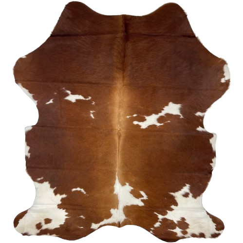 Colombian Brown and White Cowhide: brown with white spots, and it has light brown down the spine - 6' x 4'7" (COBNW346)