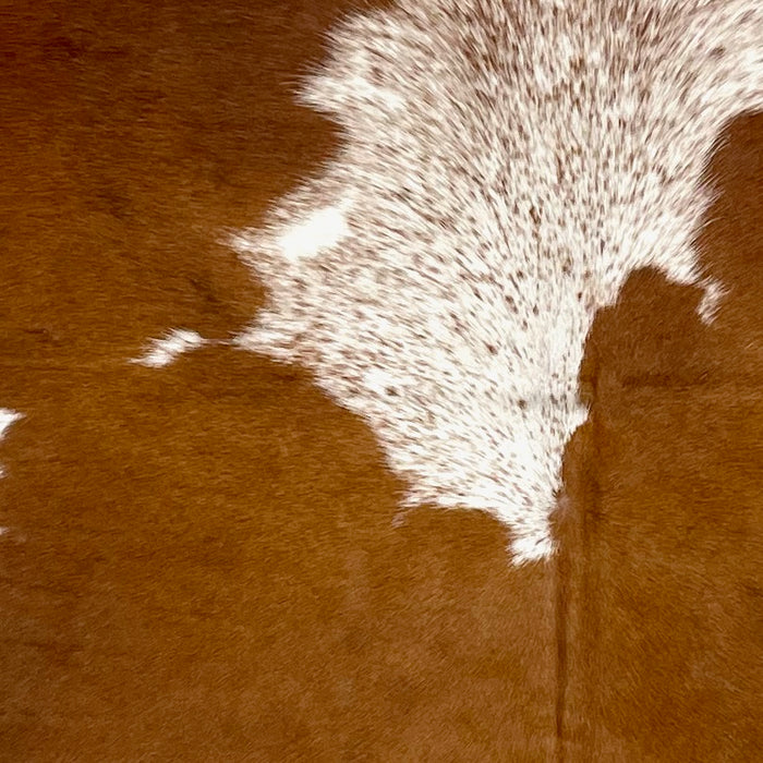 Closeup of this Speckled Colombian Cowhide, showing white with brown speckles, and large, brown spots (COBNW348)