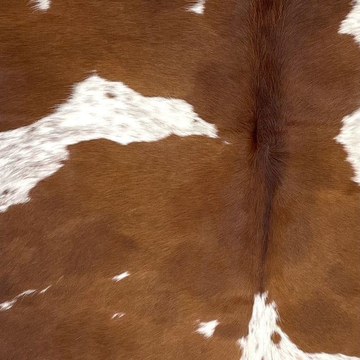 Closeup of this Colombian Speckled Cowhide, showing brown with white spots that have brown speckles (COBNW350)