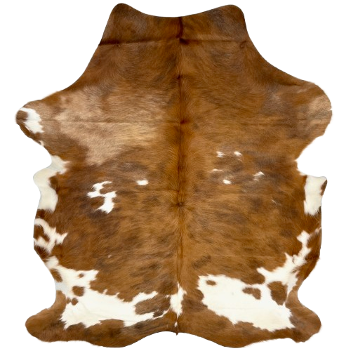 Colombian Golden Brown and White Cowhide: has a mix of golden brown and dark brown, and small and large, white spots - 6'11" x 5'5" (COBNW352)