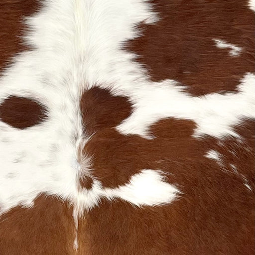 Closeup of this Colombian Cowhide, showing white with faint, brown speckles, and large and small, brown spots (COBNW353)