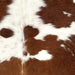 Closeup of this Colombian Cowhide, showing white with faint, brown speckles, and large and small, brown spots (COBNW353)