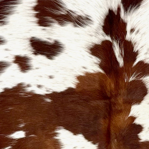 Closeup of this Speckled Colombian Cowhide, showing white with brown speckles and spots (COBNW355)