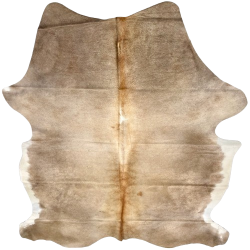 Large Taupe, Lt Beige, White Colombian Cowhide: light beige down the middle, taupe on the sides, butt, shanks, and shoulder, reddish brown down the spine, and white on the belly- 7'10" x 5'11" (COBNW356)