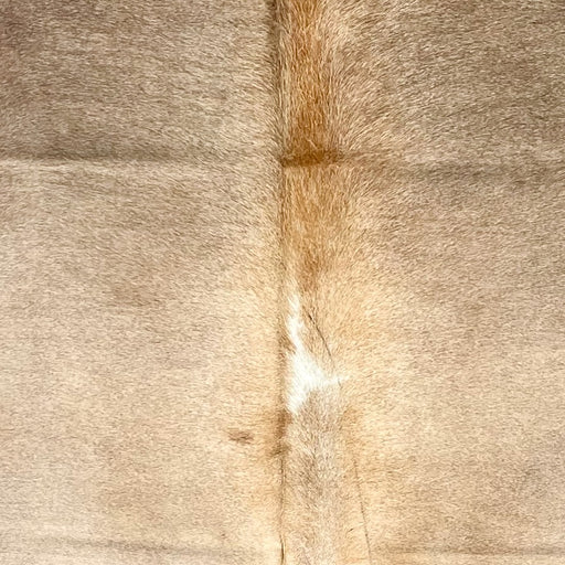 Closeup of this Large Colombian Cowhide, showing light beige down the middle, taupe on the shoulder, and reddish brown down the spine (COBNW356)