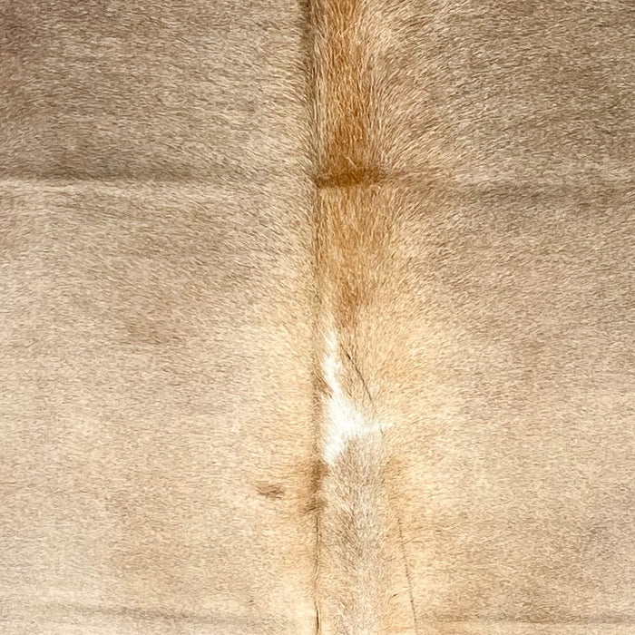 Closeup of this Large Colombian Cowhide, showing light beige down the middle, taupe on the shoulder, and reddish brown down the spine (COBNW356)