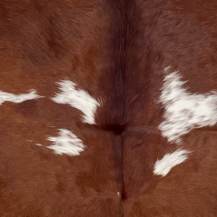 Closeup of this Colombian Cowhide, showing reddish brown and small, white spots that have reddish brown speckles  (COBNW357)