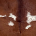 Closeup of this Colombian Cowhide, showing reddish brown and small, white spots that have reddish brown speckles  (COBNW357)
