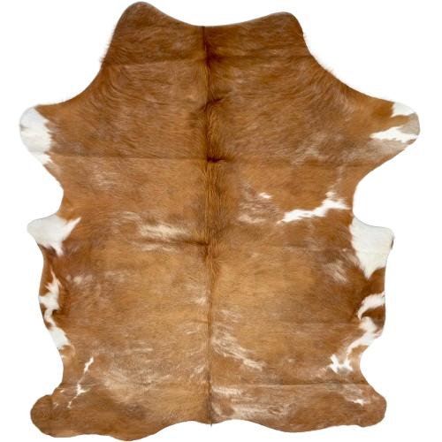 Lt Golden Brown and White Colombian Cowhide: light golden brown with cloudy, white spots, white on part of the belly, and longer hair down the spine - 6'10" x 4'11" (COBNW358)