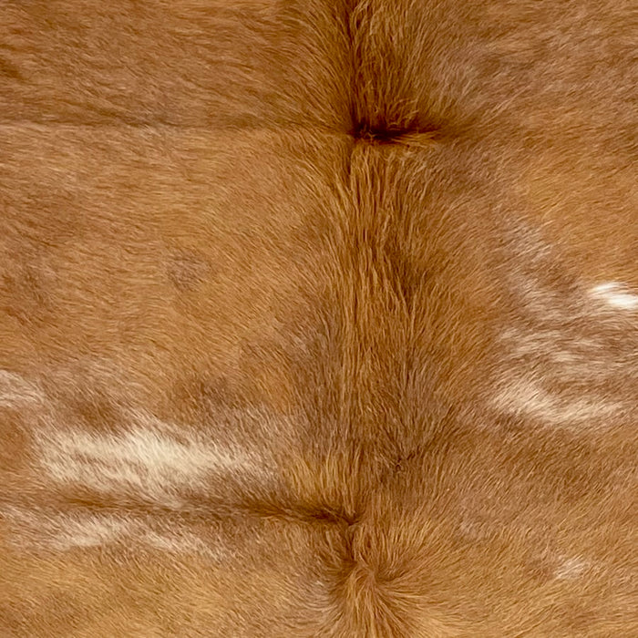 Closeup of this Colombian Cowhide, showing light golden brown with cloudy, white spots (COBNW358)
