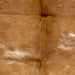 Closeup of this Colombian Cowhide, showing light golden brown with cloudy, white spots (COBNW358)