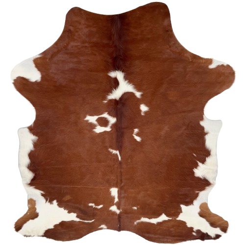 Reddish Brown and White Colombian Cowhide: reddish brown with white spots down the middle and part of the hind shanks, and white, longer hair on the belly  - 6'8" x 5' (COBNW380)